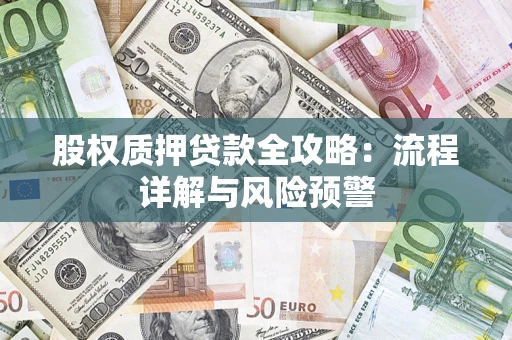 北京股权质押贷款全攻略：流程详解与风险预警