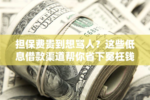 北京担保费贵到想骂人？这些低息借款渠道帮你省下冤枉钱