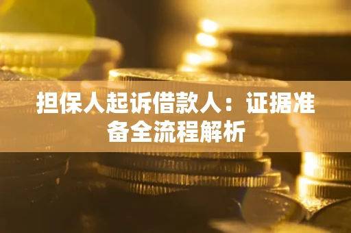北京担保人起诉借款人：证据准备全流程解析