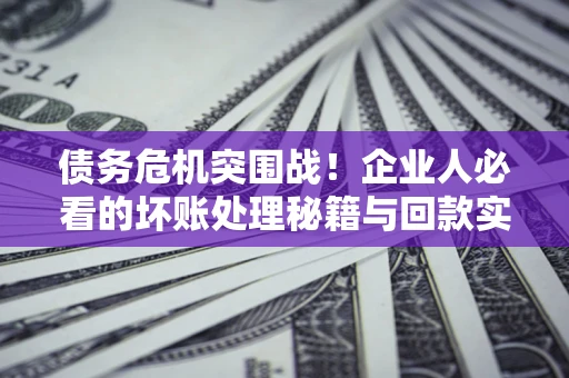 北京债务危机突围战！企业人必看的坏账处理秘籍与回款实战指南